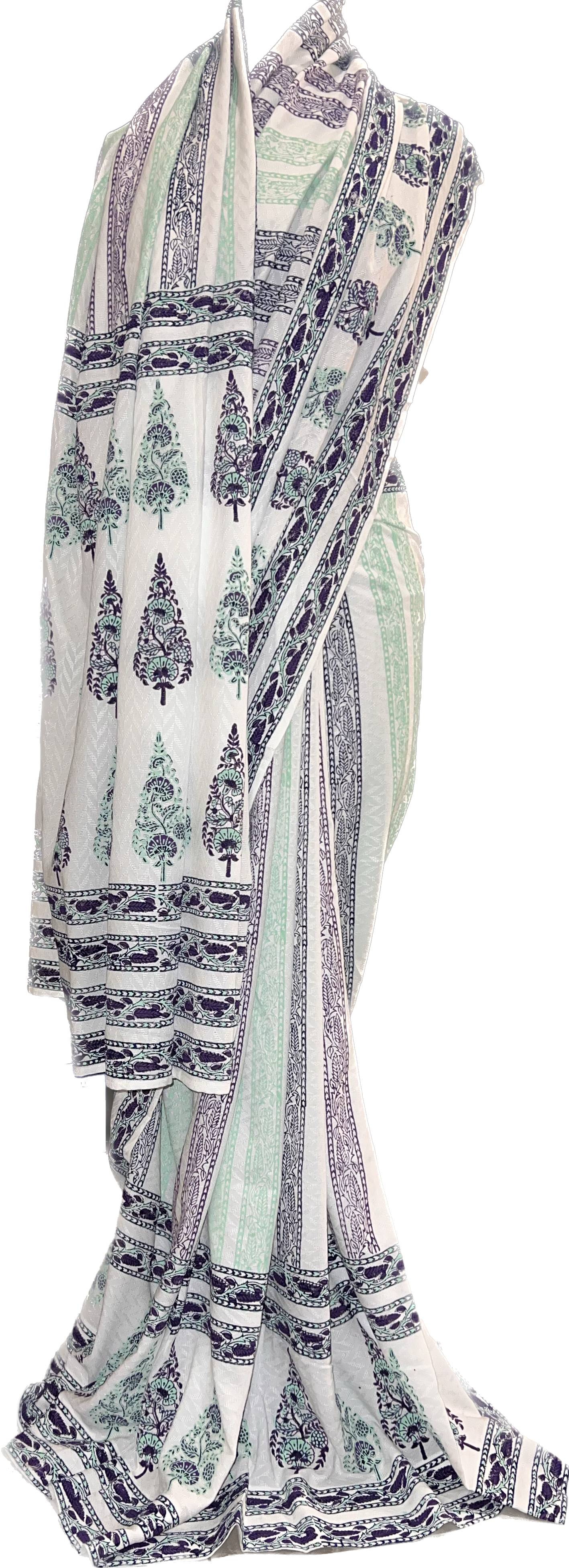 Timeless Cypress Saree